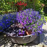 Daire Comodo Con Giardino E Patio
