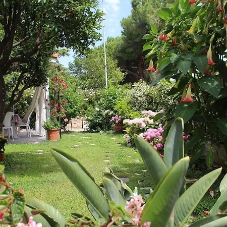 Comodo Con Giardino E Patio *