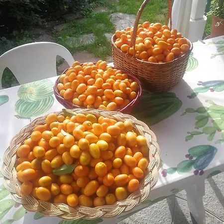 Apartament Comodo Con Giardino E Patio *