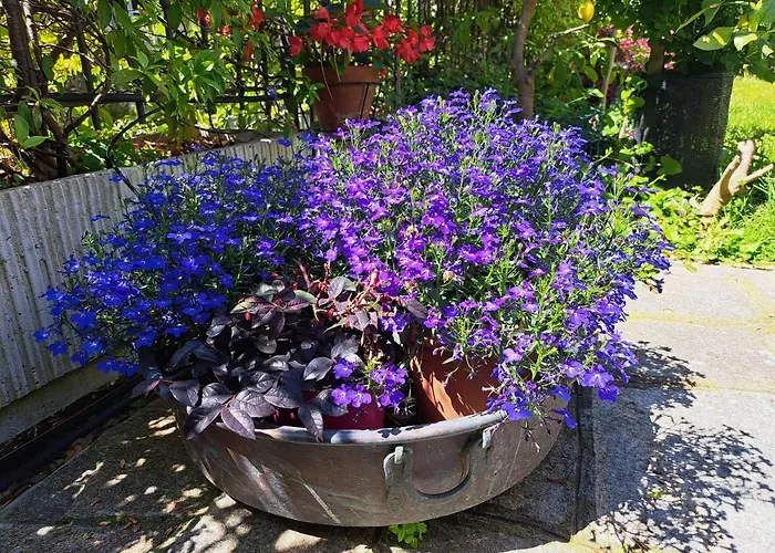 Apartment Comodo Con Giardino E Patio