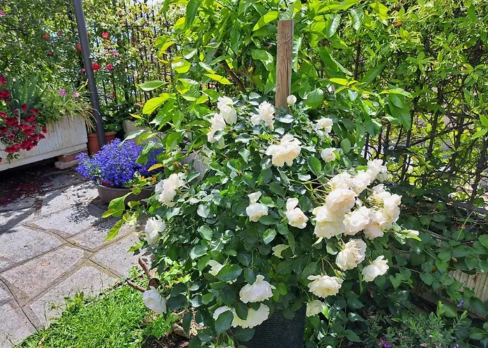 Apartment Comodo Con Giardino E Patio Sanremo