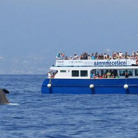 Comodo Con Giardino E Patio Appartement