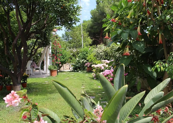 Comodo Con Giardino E Patio *