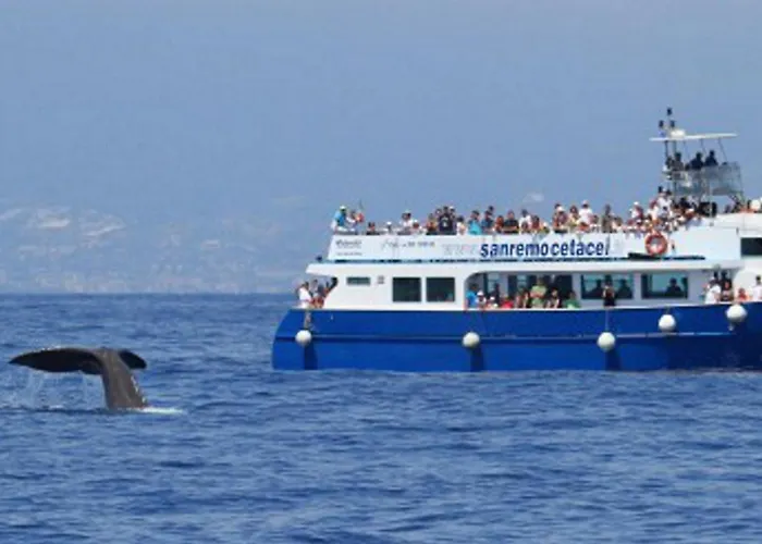 Comodo Con Giardino E Patio 아파트