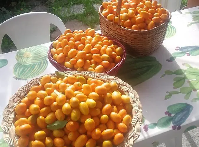 Lejlighed Comodo Con Giardino E Patio *